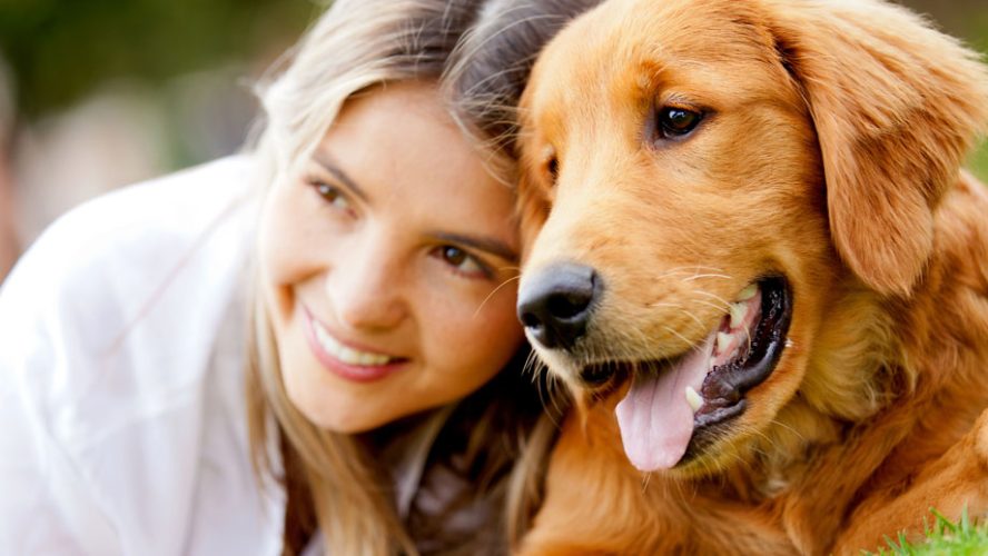 Are Dog Probiotic Supplements the Missing Link to Your Pet’s Health?