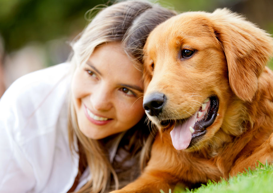 Are Dog Probiotic Supplements the Missing Link to Your Pet’s Health?